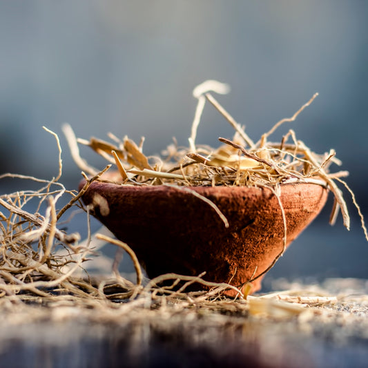 Top Lids Candle - Vetiver & Tonka
