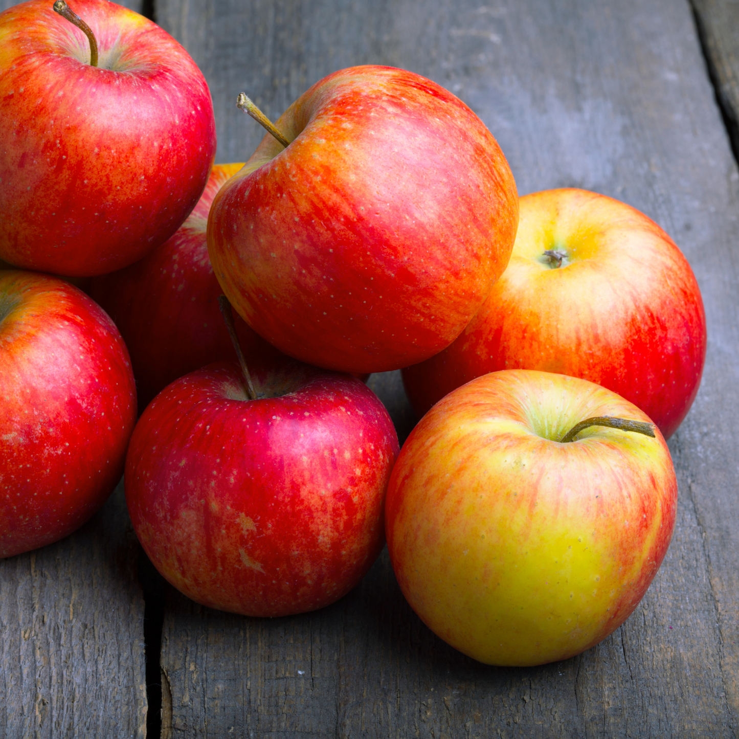 Top Lids Candle - Apples & Maple Bourbon